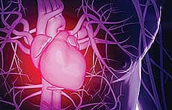 Few Americans at low risk of cardiovascular disease