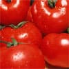 Beneficial tomato compound identified