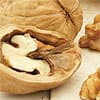 Walnuts improve sperm quality in young men