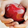 Apple peel compound helps maintain muscle