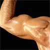 Leucine could help maintain muscle when losing fat