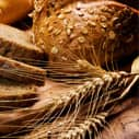 Greater fiber intake associated with lower mortality risk over nearly six years of follow-up