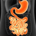 Studies reveal gut pathways for glucose reduction by metformin and resveratrol