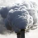 Study findings suggest lung-protective effect for vitamin E against effects of air pollution