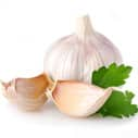 Garlic extends lifespan in roundworm study