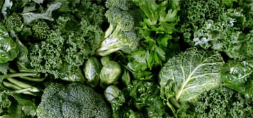 Research contributes to the understanding of how leafy vegetables support beneficial bacteria