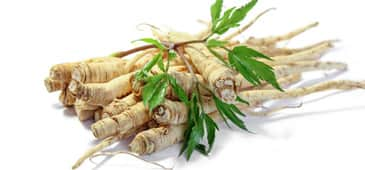 Meta-analysis affirms benefit for ginseng in type 2 diabetics