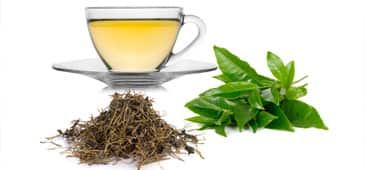 Green tea extract supplementation associated with decreased liver enzymes in nonalcoholic fatty liver disease patients