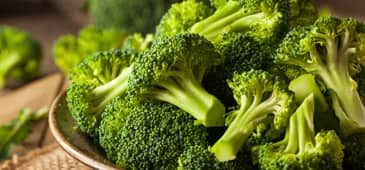 Broccoli compound could be helpful to diabetes