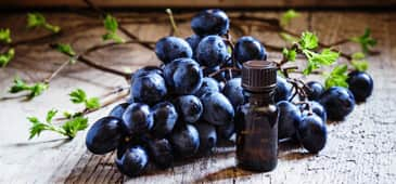 Resveratrol beneficially modulates glycemic control