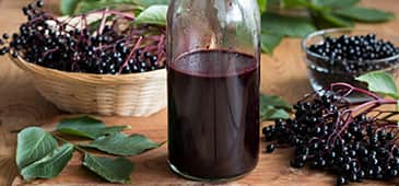 How elderberry fights flu