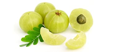 Amla improves cholesterol, triglycerides in dyslipidemic patients