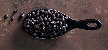 Aronia berry supplementation supports gut, arterial health