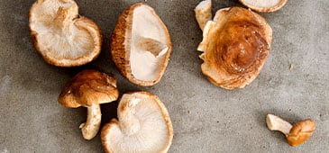 Mushroom compound level predicts cognitive function