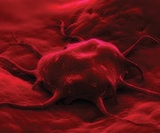 Diabesity and Cancer Initiation: How Metformin Works