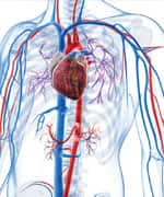 Guard Heart Health With Botanical Power Duo