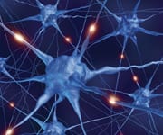 Magnesium Improves Brain Plasticity