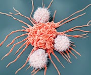 Autophagy plays a role in fighting cancer