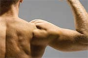 Testosterone and Body Composition