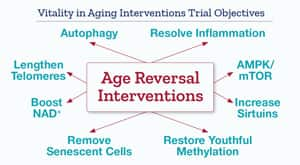 Vitality in Aging Interventions Trial Objectives