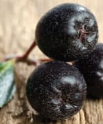 Aronia berry