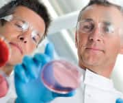 Scientists looking at a petri dish