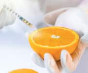 Scientist extracting juice from an orange with a syringe