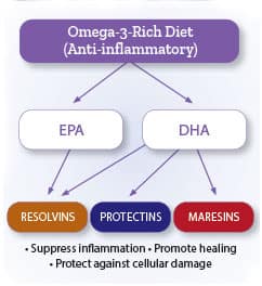 Infographic of EPA and DHA