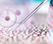 Pipet being used to study cell autophagy