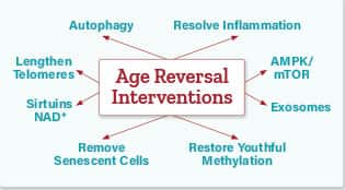 Chart on age reversal interventions