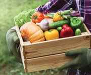 Farmer holding crate of farm fresh food