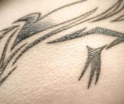 Close up of tattooed skin