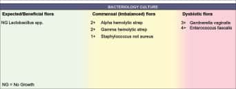 Infographic of dynamic bacterial culture