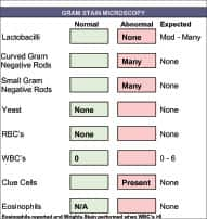 Chart of gram stain microscopy