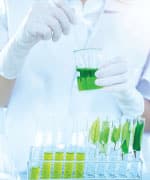 Researcher transferring rhubarb extract between different beakers