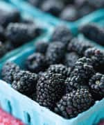 Blackberries found with antioxidant and antimicrobial nutrients