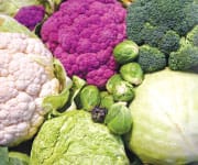 Cruciferous vegetables that produce sulforaphane