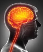 Brain and stem that is being supported by the nutrient curcumin for anti-inflammation