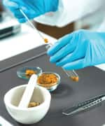 Researcher dividing turmeric for studying the curcumin for increasing bioavailability