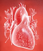 White outlined heart to demonstrate healthy cardiovascular system