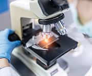 Researcher examining L-ergothioneine using microscope for tissue defense