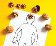 Outline of person surrounded by walnuts with a walnut signifying their brain