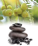 Amla berries and chromium that both that contain compounds that reduce glucose levels