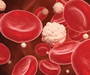 Red blood and white blood cells that are affected by insulin resistance and elevated glucose levels