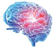 Holographic brain being supported with B vitamins to lower homocysteine levels