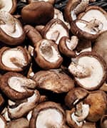 Maitake mushrooms studied for activating some immune cells