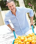 Man pushing a wheelbarrow with vitamin C rich oranges