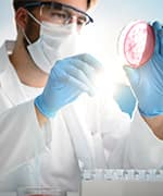 Researcher holding petri dish with lactobacilli sample