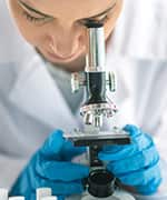 Researcher looking through microscope at macrophages