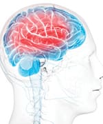 Brain that is being affected by protein glycation and oxidative stress